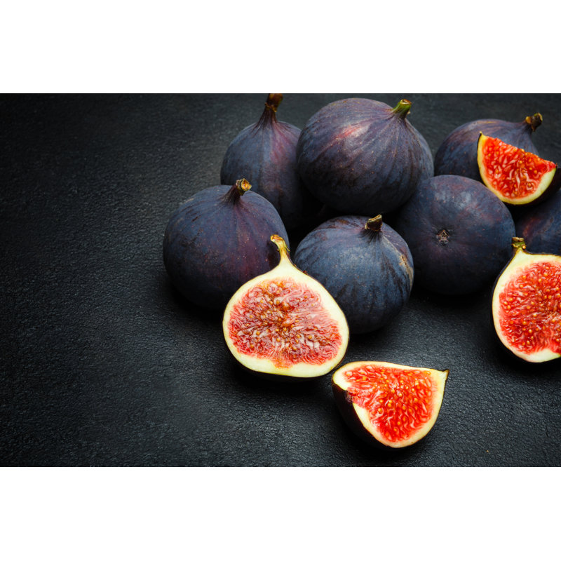 Fig - Wrapped Canvas Print, 61cm H x 91cm W x 3.8cm D