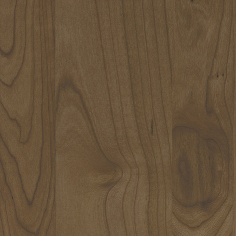 Dwelling Dryden Door Sample, Carob, Cherry