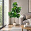 158 cm H Faux Plant