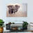 Brampt Young Savanna Elephant-108697085