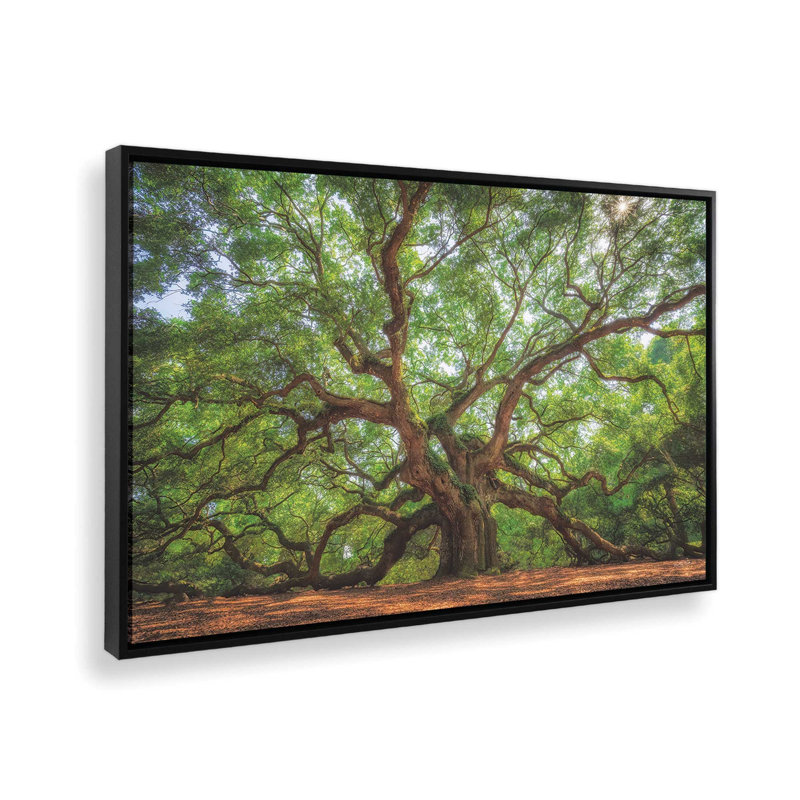 «Angel Oak Tree in Charleston» par Martin Podt, reproduction d'art, L 12 po x H 8 po, Noir, Toile avec cadre