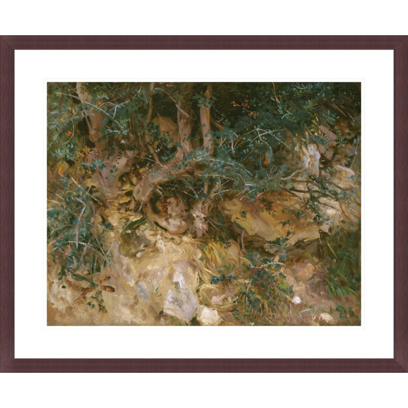 Valdemosa, Majorque: chardons et herbes sur une colline par John Singer Sargent, impression giclée encadrée