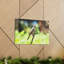 Wall Art on Canvas