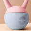 Kettlebell