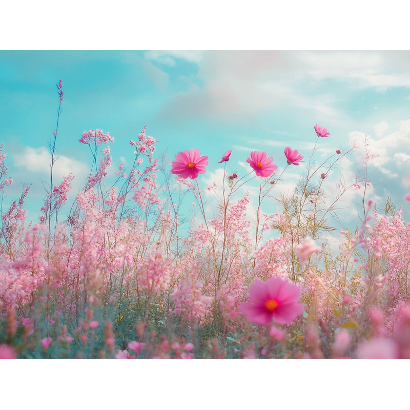 Art sur toile, "Rainbow Meadow"