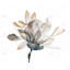 Napperon Softness Botanical