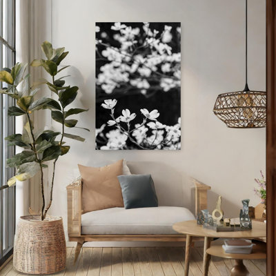 Close-Up Of Flowering Dogwood Flowers On Branches, Atlanta, Georgia, Usa Contemporary Flower Wall Art