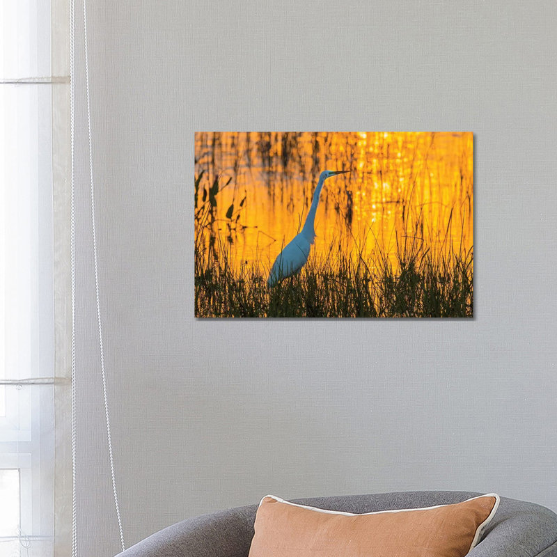 Great Egret (Ardea Alba) At Sunset. Viera Wetlands, Brevard County, Florida. by Richard & Susan Day - Wrapped Canvas Gallery-Wrapped Canvas Giclée