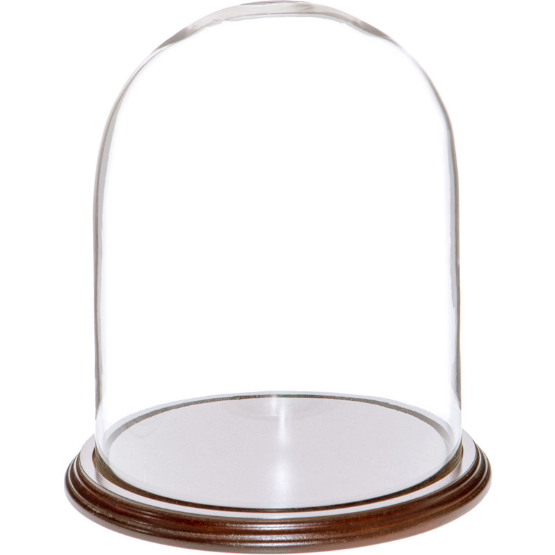 Jenett Glass Display Dome Cloche, Dark Mahogany Veneer Base, 10.25" H x 8" W x 8" D