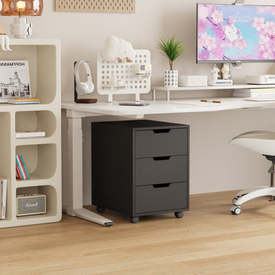 Storage Cabinet