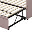 Lit Deadeira-822026103