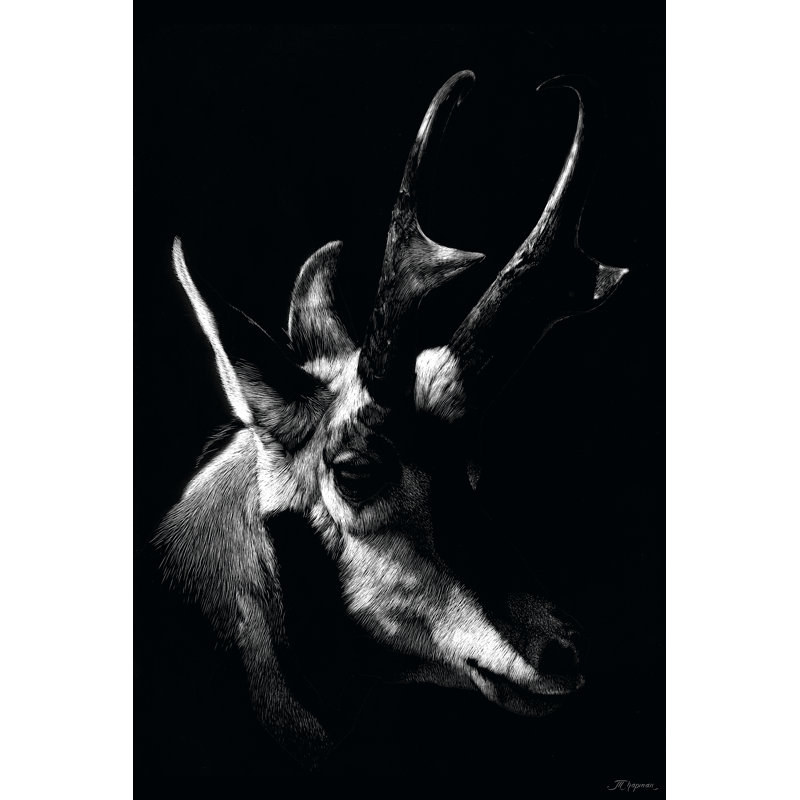 Wildlife Scratchboards II by Julie T. Chapman - Wrapped Canvas Print, 46cm H x 30cm W
