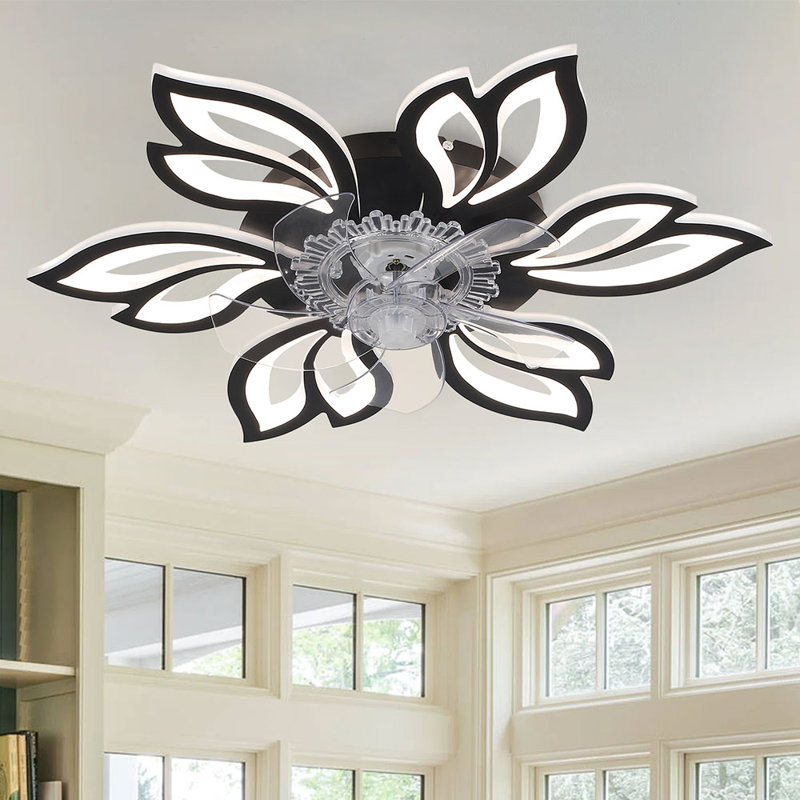 Armentha 65cm Ceiling Fan with LED Lights, Black
