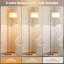 Lampes sur pied 60 "avec 3 températures de couleur pour le salon-777305618-777305642