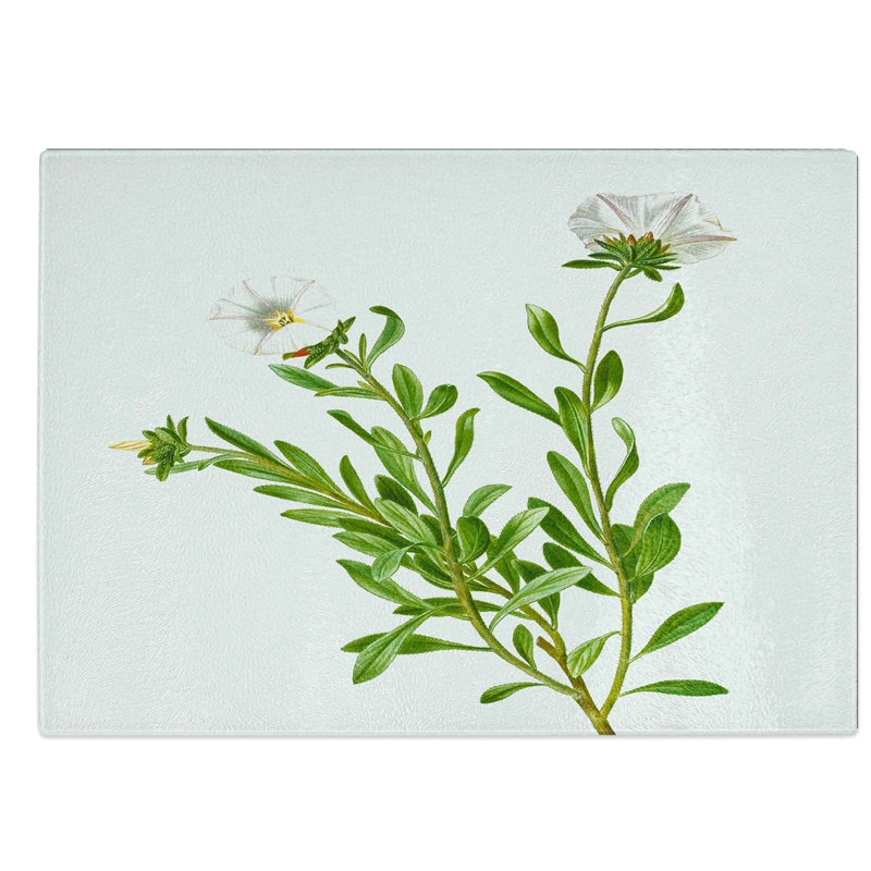 Tempered Glass Silverbush Flowers by Pierre-Joseph Redoute Chopping Board, 39 cm W x 28.5 cm L