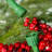 White Frosted 4.5' Pre-Lit Pine Christmas Tree