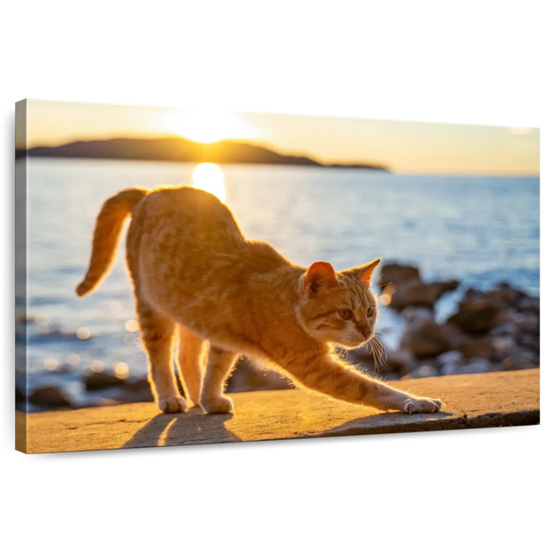 Brampt Yellow Cat, 26" H x 39" W