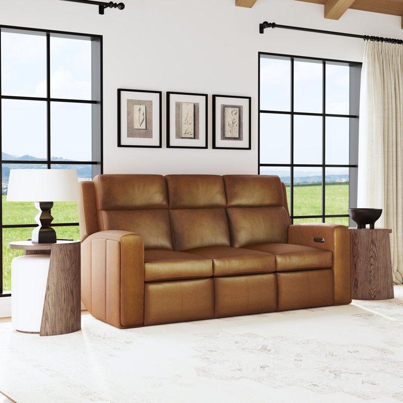 Harrison Power Reclining Sofa With Power Headrests & Lumbar, Brown