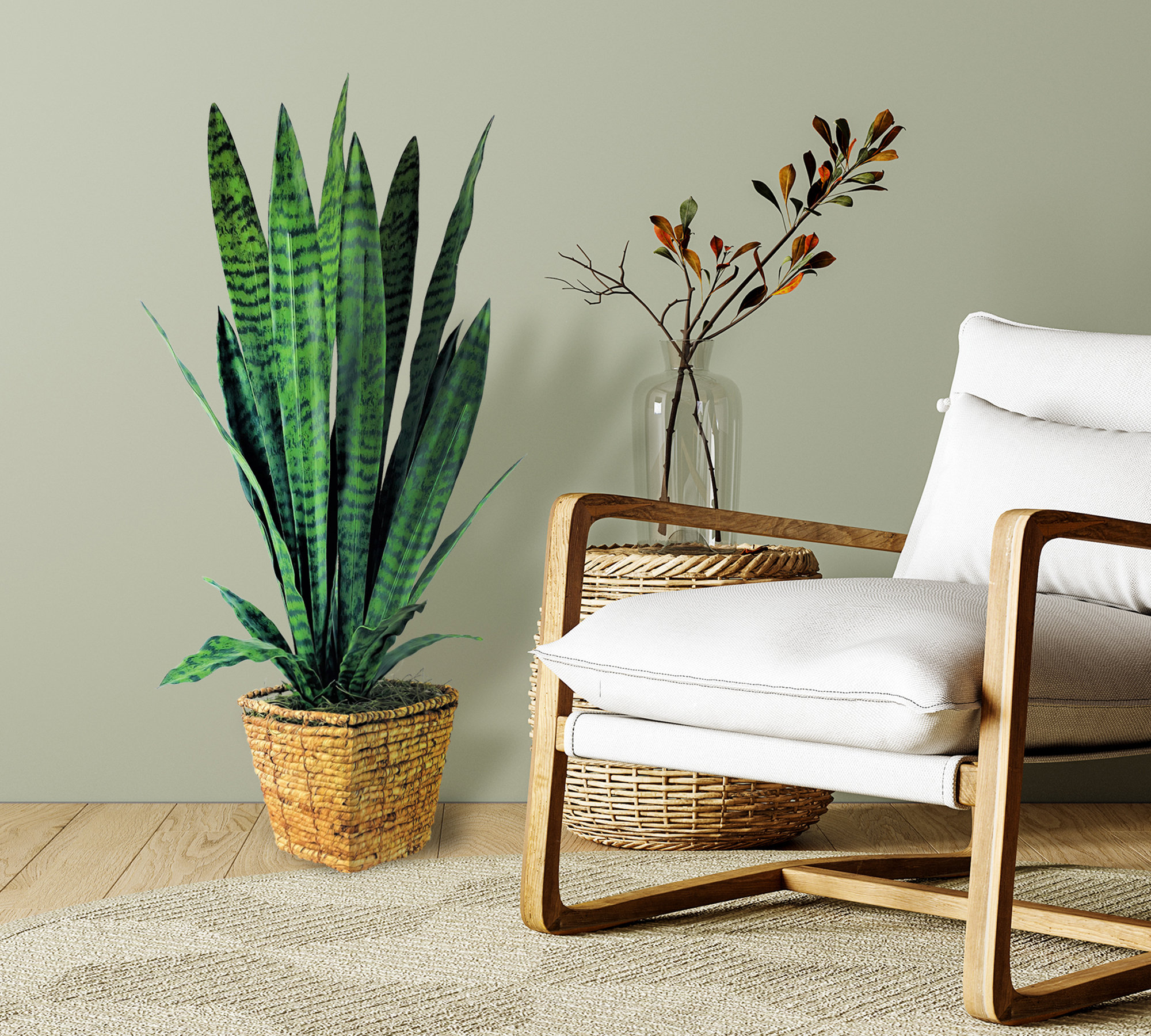 Primrue 38 Inch Snake Plant In Square Basket | Wayfair