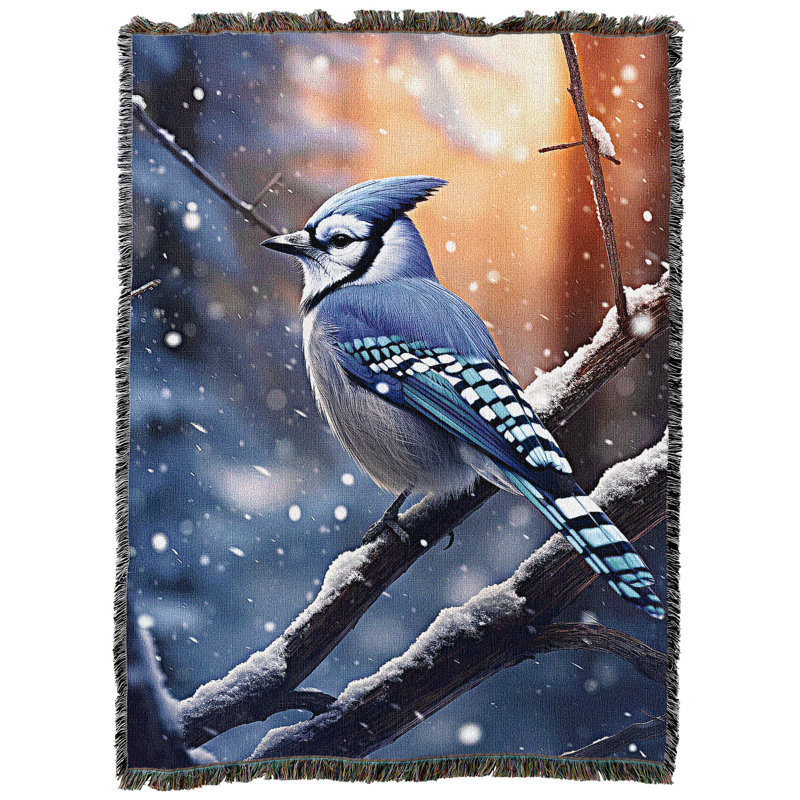Jeté en coton Pure Country Weavers, Geai d'hiver