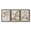 Antique sépia botanicals I - ensemble de 3 reproductions d'art sur toile-1241077293-1241077285