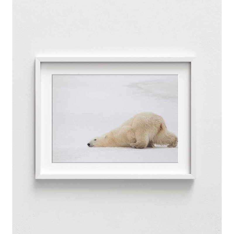 Décoration murale ours coulissant - Illustration d'un animal mignon, H 12 po x l 16 po, Framed Print with Mat, Blanc