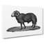 Sheep Illustration - Wrapped Canvas Print-55318080