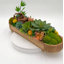 Conception succulente dans un vase allongé en bois verni clair