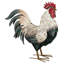 Statue de jardin en métal Verde Rooster-1645474842