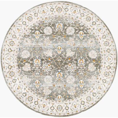 Delyse Oriental Rug