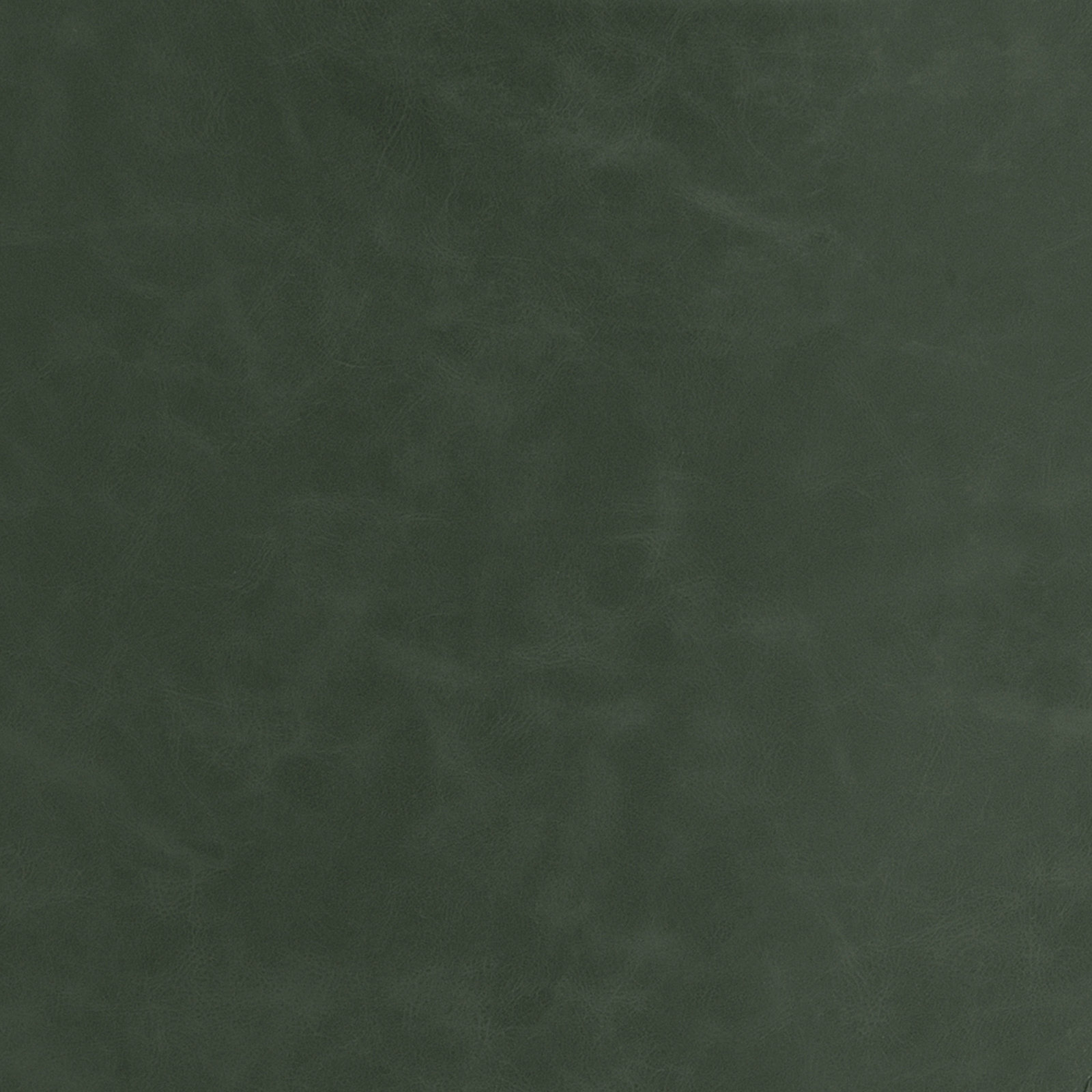 Bela Genuine Leather Dining Chair, Ivy Green Performance Faux Leather