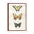 Classic Brown Wood Framed
