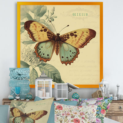 «Angenita Vintage Illustration Of Butterfly VI», reproduction sur toile