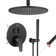 Pressure-Balanced (Temperature And Volume) Complete Shower System