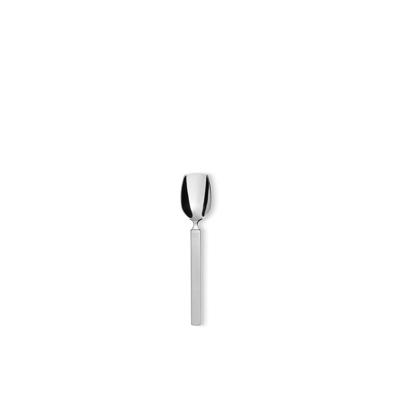 Dry Ice Cream Spoon