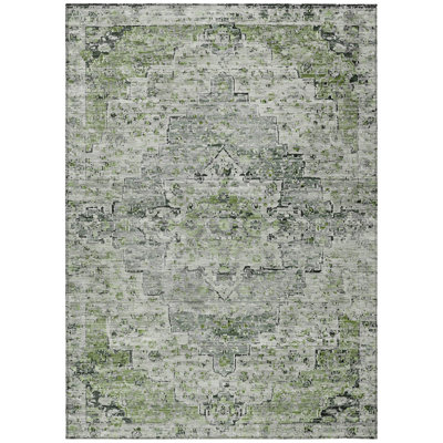 Machine Washable Indoor/Outdoor Xhevrie Aloe Rug
