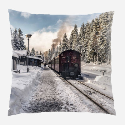 Canvas Outdoor Reversible Throw Pillow