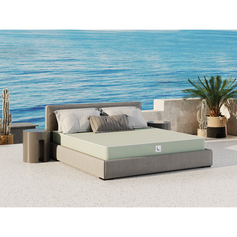 Alwyn Home Firm Outdoor Mattress & Bedwetting Waterproof Vinyl Corto, Queen