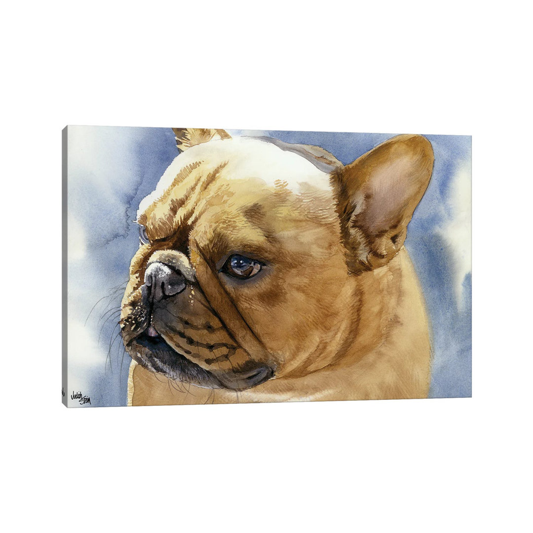 Fawn Frenchie - French Bulldog by Judith Stein - Wrapped Canvas Painting