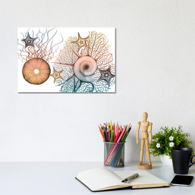 Sea Collective I 1 Piece Wall Art on Canvas