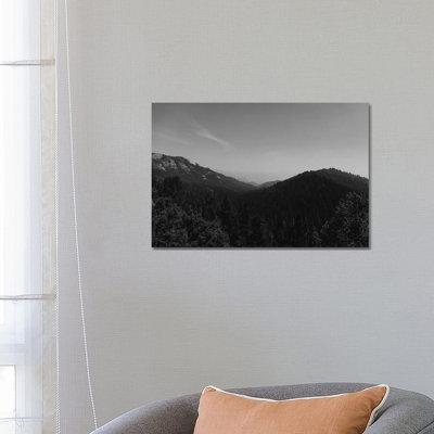 «Sequoia National Park II» par Bethany Young, reproduction de photo sur toile tendue