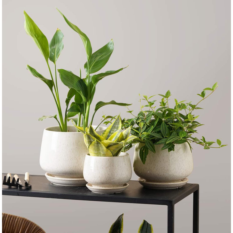 Ceramic Pot Planter