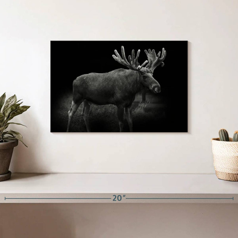 Monochromatic Bull Moose, 8" H x 12" W
