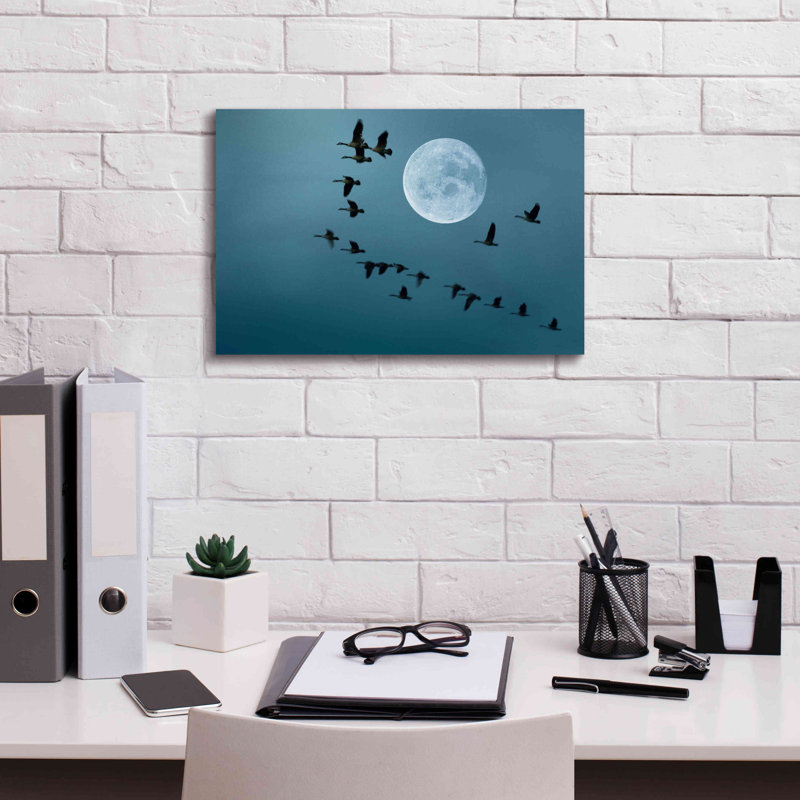 Epic Graffiti 'Fly Away' By Ata Alishahi, Giclee C " Fly Away " by Ata Alishahi