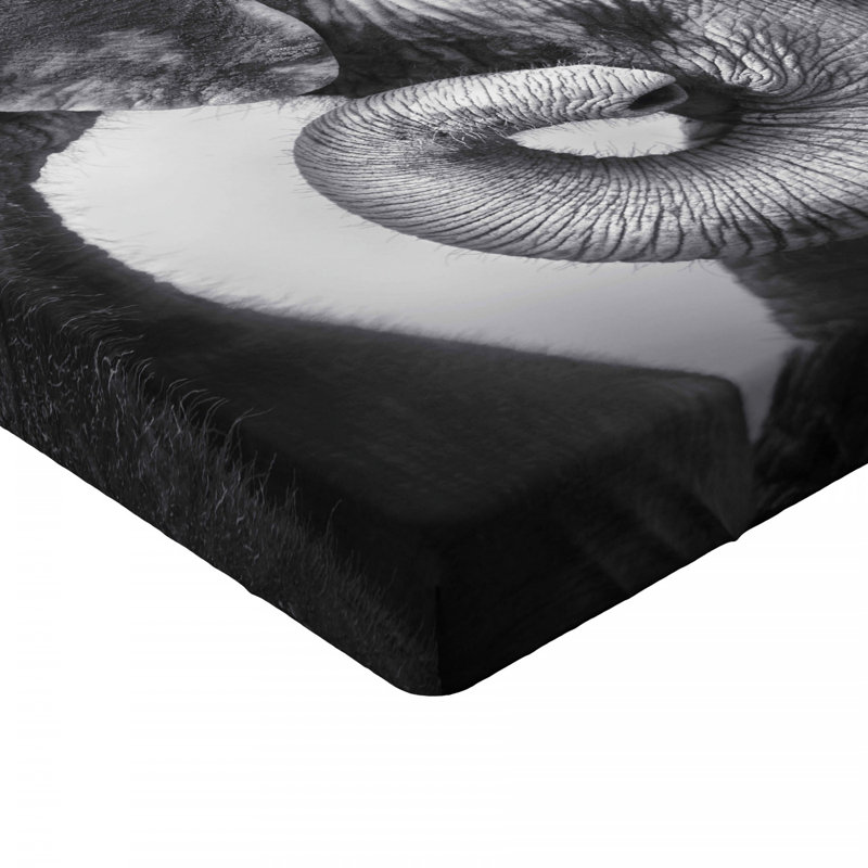 Microfiber Fitted Sheet, Full Fitted Sheet