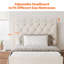 Lit gigogne simple Noralis avec tête de lit capitonnée et velours luxueux