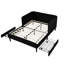 Structure de lit double tapissier pleine grandeur avec 2 tiroirs de rangement, noir moderne et confortable pour la chambre à coucher-512609412-512609466