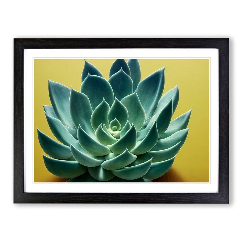 Splendorous Succulent Plant - Framed Print, Black, 46cm H x 64cm W x 2cm D