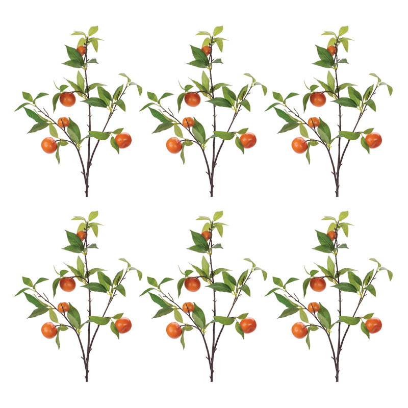 Branche de feuillage d'orange