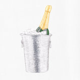 Champagne On Ice Towel